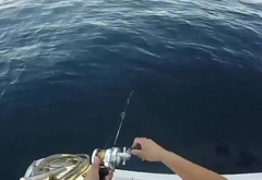 Japanese gay  fishing